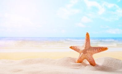 Starfish on summer sunny beach  at ocean background. Travel, vacation concepts.