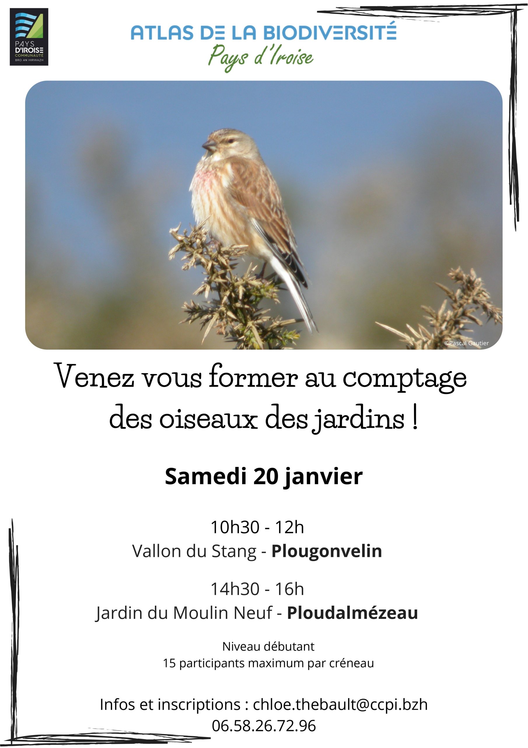 Formation Grand Public Comptage National Oiseaux Des Jardins 2024