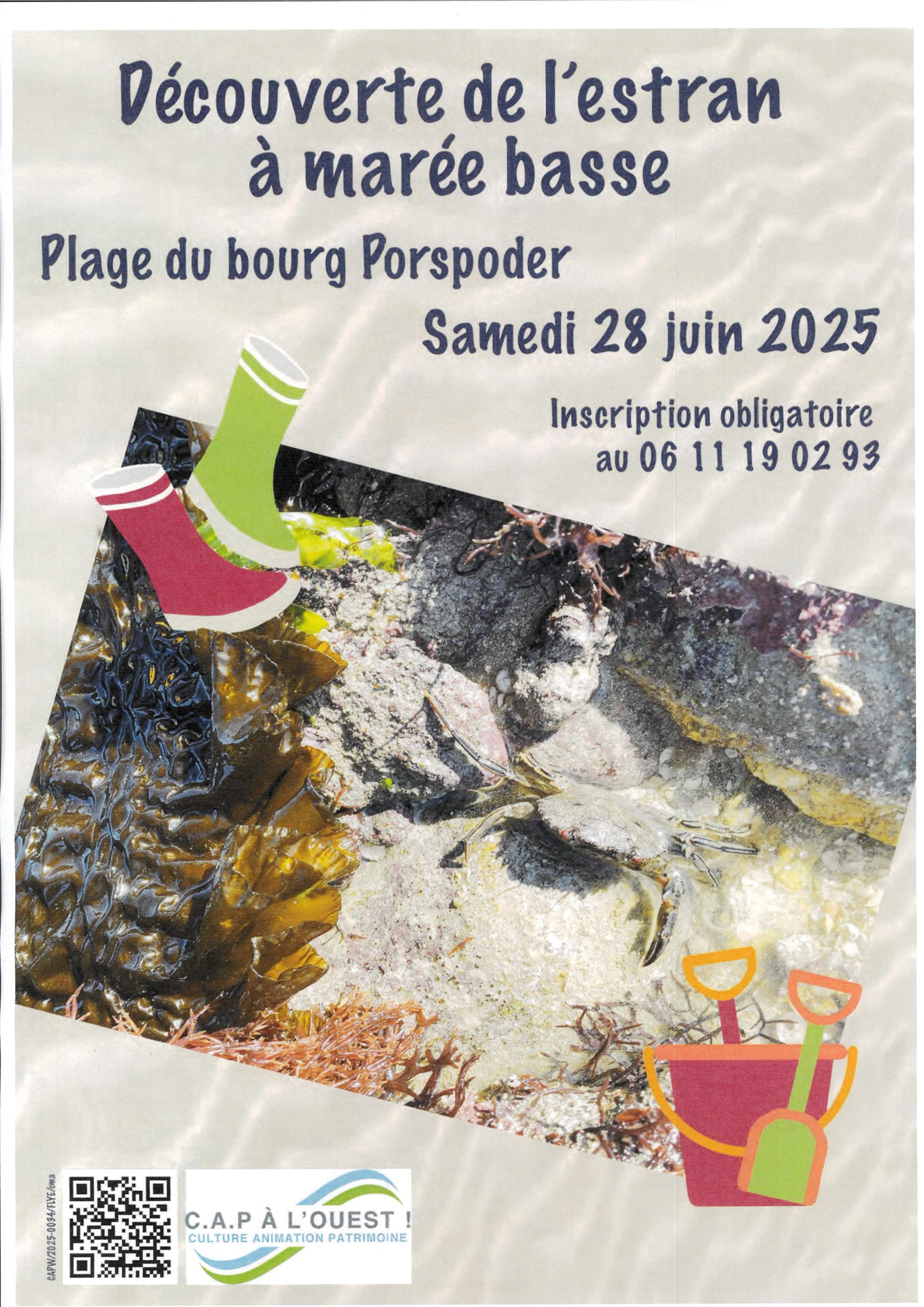 Découverte De L'Estran