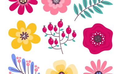 La Fête des Fleurs - 40ème édition à Ploudalmézeau