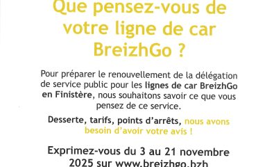 Que pensez-vous de votre ligne de car Breizhgo ?