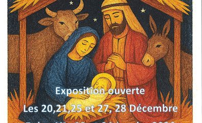 Association Graines de Menhir - Exposition