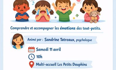Association Les Petits Dauphins Porspoder - Temps d'échange avec les familles sur l'accompagnement des émotions chez le jeune enfant