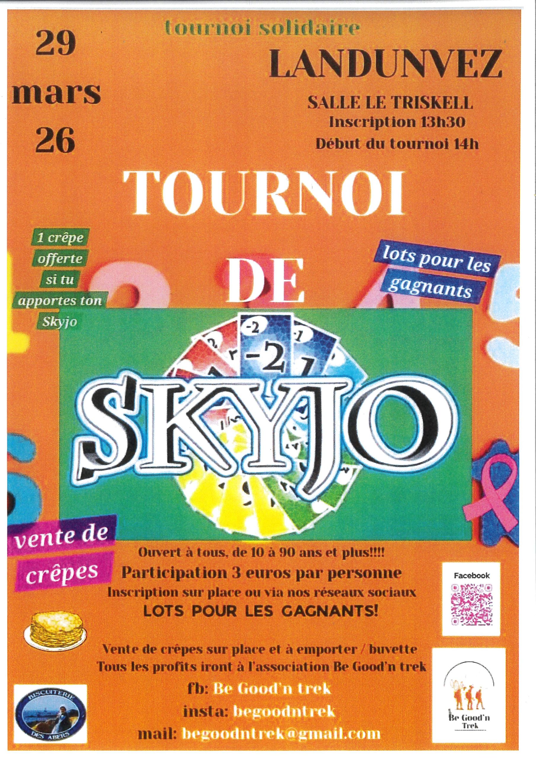 Tournoi De Skyjo